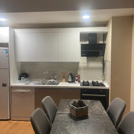 Apartment Квартира В Центре Стамбула